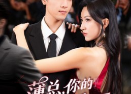 【薄总，你的小冤家重生了】67集短剧免费高清观看