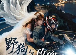 【野狗与玫瑰】30集短剧免费全集轻松看