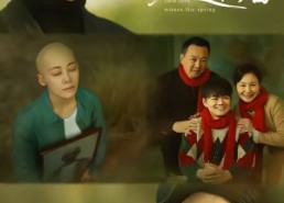 【迟爱不逢春】62集短剧在线免费观赏