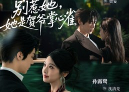 【别惹她，她是贺爷掌心雀】69集短剧免费在线全集观