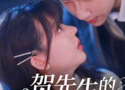 【贺先生的隐婚蜜爱】81集免费短剧完整速览