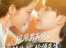 【凤凰男再见，我转头嫁给傅先生】78集短剧全集在线畅看