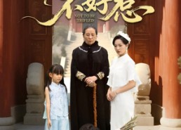 【奶奶一脚震全城】64集免费短剧在线随心观