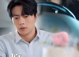 【只愿君心向我心】免费在线看31集短剧