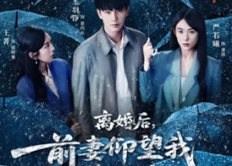 【离婚后，前妻仰望我扶摇直上】84集在线看短剧全集