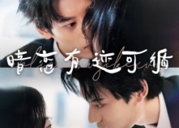 【暗恋有迹可循】101集短剧免费在线直看