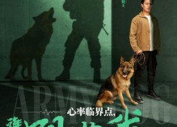 【心率临界点谁都别惹我】96集短剧免费即点即看