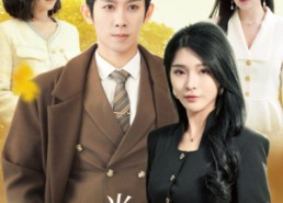 【何如当初莫相识】36集在线短剧全集免费观看