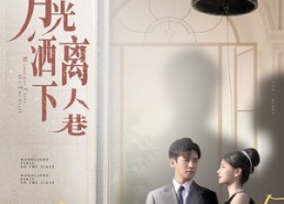 【月光洒下离人巷】60集短剧在线免费全集赏