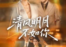 【清风明月不如你】60集免费短剧在线全看