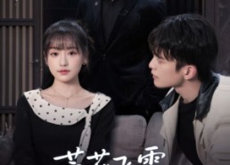 【芦花飞雪覆归舟】77集短剧免费在线畅看全集