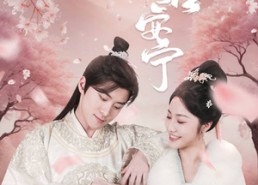 【愿君安宁】34集短剧免费在线赏看