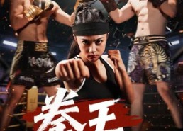 【拳王之风云再起】50集高清短剧在线免费观看