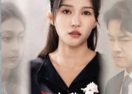 【永失我爱】45集短剧全集免费在线赏