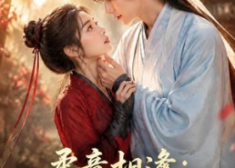 【柔意相逢：铁血倾心】101集短剧全集免费观览