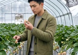 【腊月飞雪破棚春】28集免费短剧全集畅看