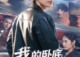 【我的卧底男友是传奇】80集精彩短剧免费赏看