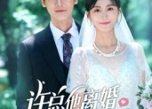 【许总他离婚失败在带娃】50集在线免费短剧全集观