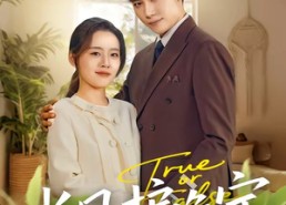 【长风护晚宁】59集短剧免费高清在线观看