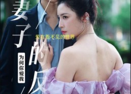 【妻子的反击】38集免费看短剧全集网址