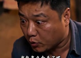【凤凰归来，我带领全村致富】63集短剧全网免费看