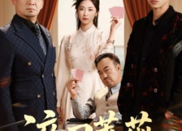 【淬刃蔷薇】66集短剧在线免费全览