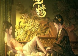 【金枝楼】52集短剧全网免费观看