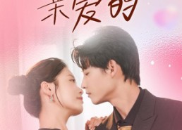 【你好亲爱的】52集免费短剧全集览看