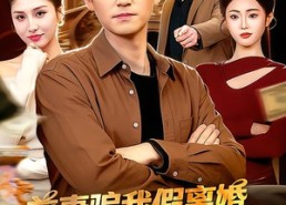 【前妻骗我假离婚，可我被骗就变强】94集短剧免费高清在线看