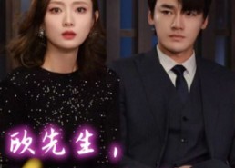 【欧先生，您夫人的马甲又掉了】74集免费在线短剧全集赏