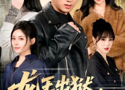 【龙王出狱，我靠师姐就能无敌】80集短剧免费在线随心看