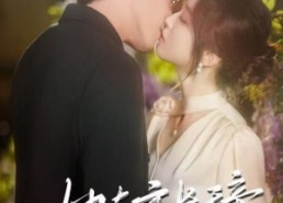 【她与夜长辞】80集短剧免费全集在线赏