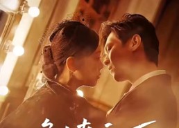 【危墙之下】72集免费短剧在线乐看