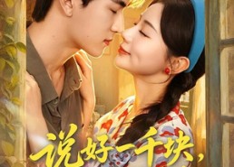 【说好一千块，他偏要给我一辈子】96集精彩短剧在线速看