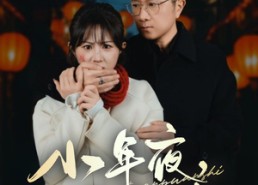 【小年夜万家灯火没有我】35集短剧免费全集赏看