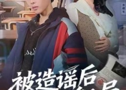 【被造谣后我以身入局】60集免费短剧在线全赏玩