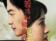 【若只如初见的夏雨荷】90集短剧免费全集赏映