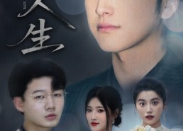 【荆棘人生】74集短剧免费全集览观