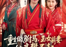 【重生做驸马，玉女前妻她高攀不起】79集短剧免费在线观赏