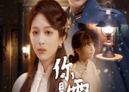 【你是雪里的光】64集在线免费短剧全剧赏