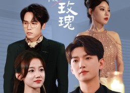 【他的危险玫瑰】101集高清短剧在线观看