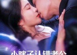 【小瞎子认错老公，糙汉大叔宠上天】100集免费短剧在线高清看