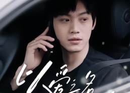 【以爱之名的成全】14集短剧完整版在线速看