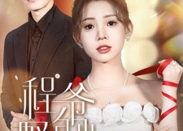 【程爷的小野猫】40集短剧免费在线完整看