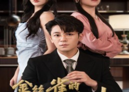 【金丝雀的反击】33集高清短剧在线速看