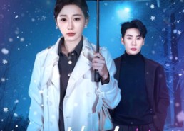 【她曾如天光般明亮】70集短剧免费在线追看