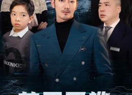 【养子不教，他被全球通缉你哭什么】37集短剧完整版在线观