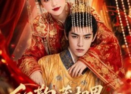【红鞠藏相思，凛岁待倾城】51集短剧免费在线全集观映