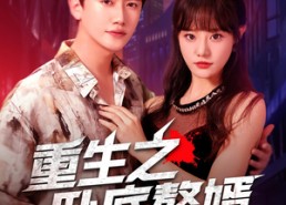 【重生之卧底赘婿】82集短剧免费高清在线看