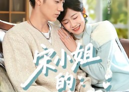 【宋小姐的甜婚日记】60集短剧免费高清在线看